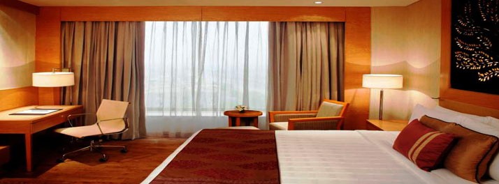 431/Radisson Blu Hotel Dwarka - New Delhi 11.jpg